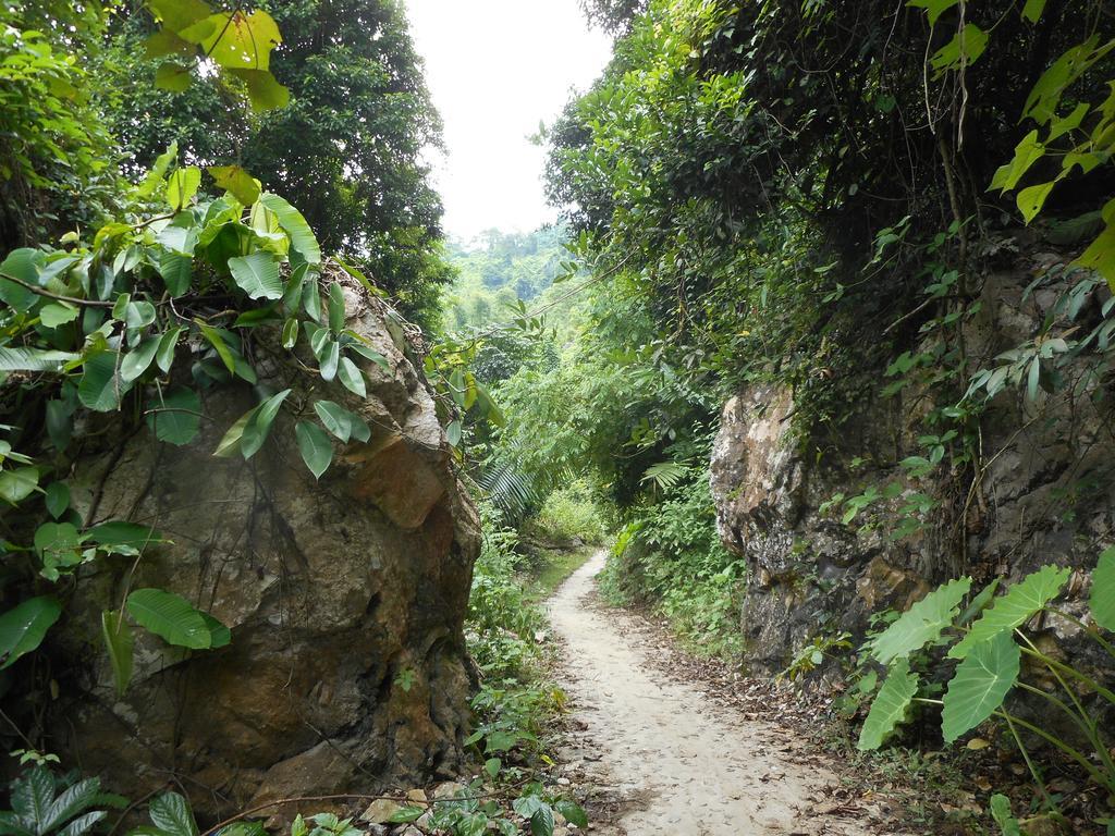 Ba Be Lake Homestay - Quynh Chi Exteriör bild
